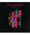 FOO FIGHTERS - WASTING LIGHT