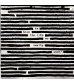 ROGER WATERS - IS THIS THE LIFE WE REALLY WANT?