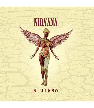 VINILOS - MUSICLIFE | NIRVANA - IN UTERO