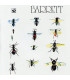 VINILOS - MUSICLIFE | SYD BARRETT ‎– BARRETT