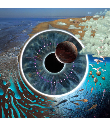 CDS - MUSICLIFE | PINK FLOYD - PULSE 2CD