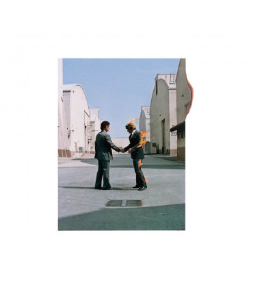 CDS - MUSICLIFE | PINK FLOYD - WISH YOU WERE HERE 1CD