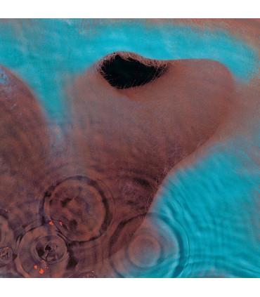 CDS - MUSICLIFE | PINK FLOYD - MEDDLE 1CD