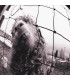 CDS - MUSICLIFE | PEARL JAM - VS. 1CD