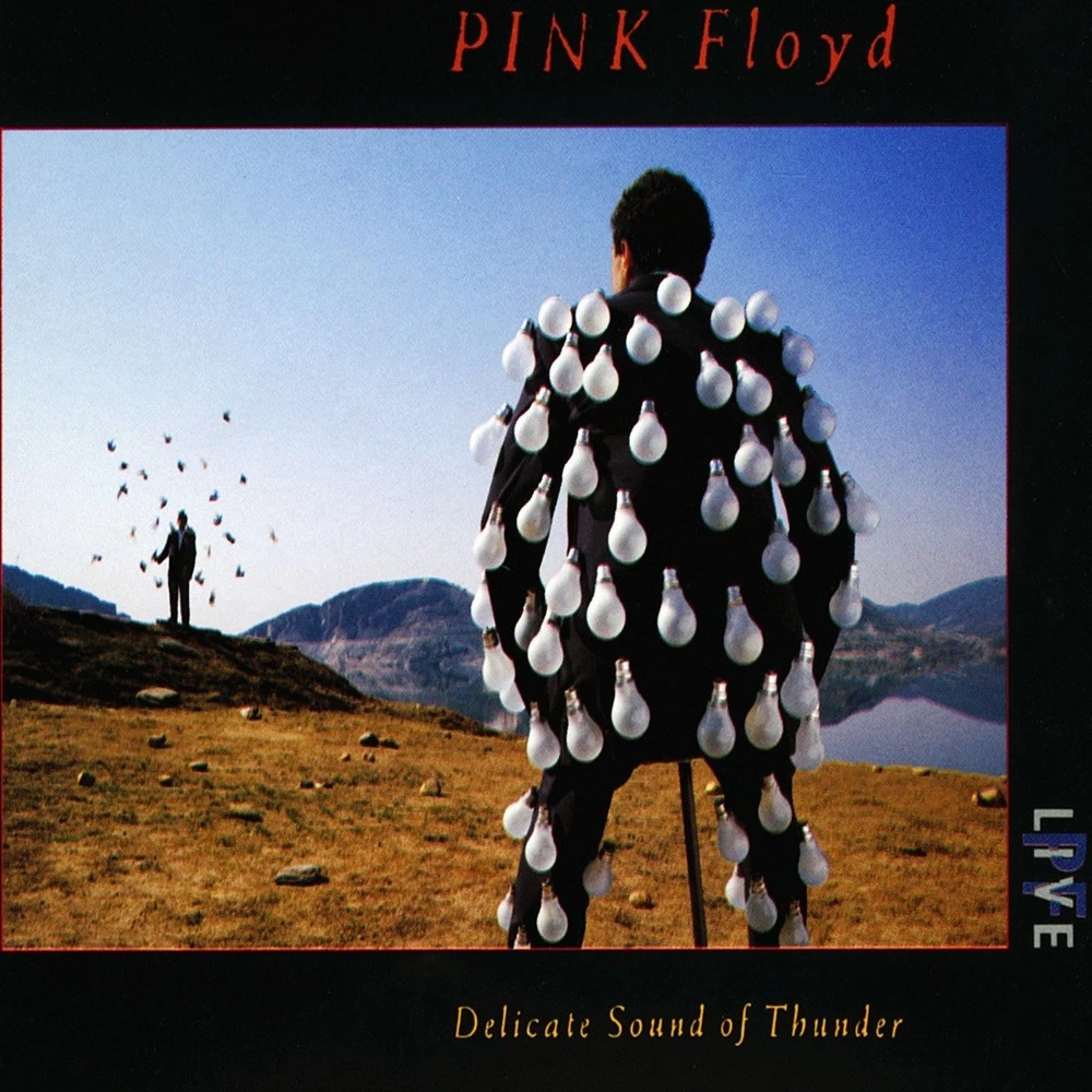CDS, PINK FLOYD - DELICATE SOUND OF THUNDER 2CD